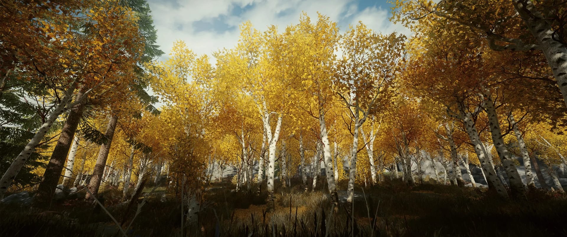 Revitalizing Skyrim's Woodlands: Introducing Fabled Forests Gaming Mod ...